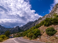 Kotor